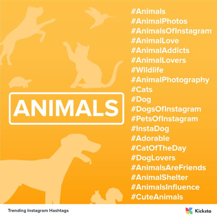How to Use Instagram Hashtags for Puppy Lovers: A Chatbot Guide