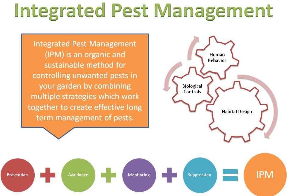 5 Creative Ways to Monitor Pest Control Reviews Online: A Comprehensive Guide