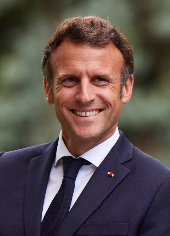 Emmanuel Macron Chatbot - Socialdraft