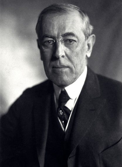 Woodrow Wilson Chatbot - Socialdraft