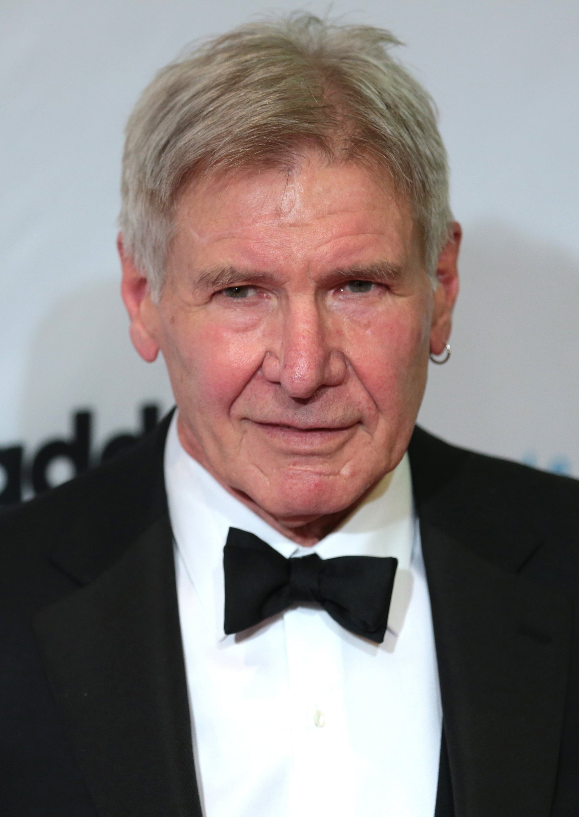 Harrison Ford Chatbot - Socialdraft