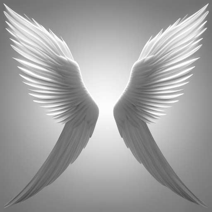 Midjourney Prompt: Customizable White Angel Wings Design - Socialdraft